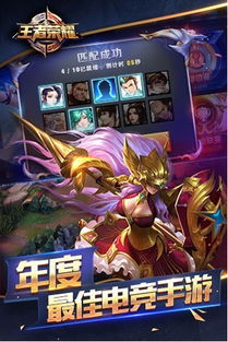 王者荣耀安卓系统bug,探寻游戏世界的漏