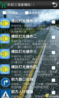 路考语音模拟系统安卓,智能驾培新体验