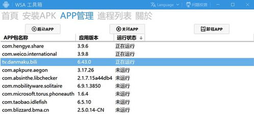 安卓子系统没有窗口,探索无窗口的安卓子系