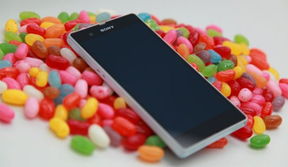 sony刷安卓11系统,安卓11系统带来