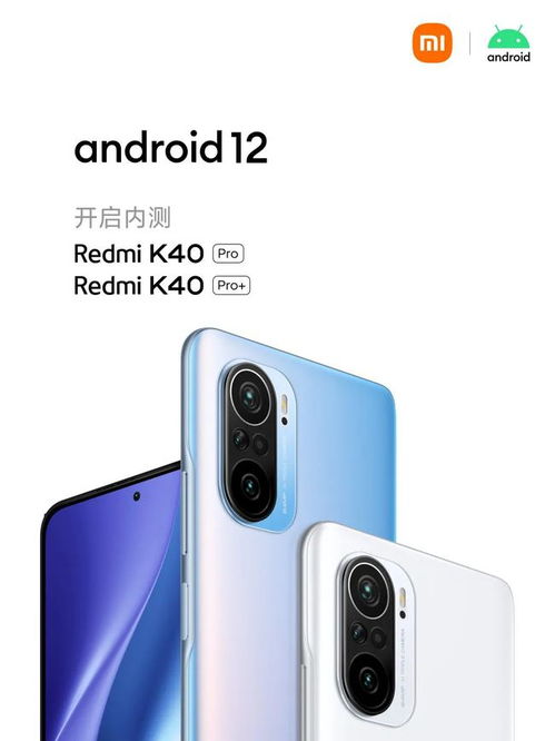 安卓12系统适用机型,盘点支持升级的旗舰