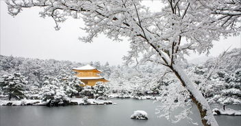 安卓系统雪景拍照技巧,捕捉冬日美景的五大