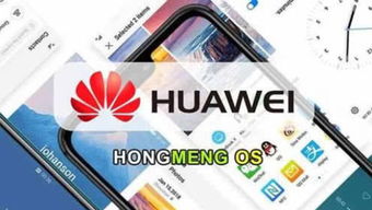 鸿蒙能否成为安卓系统,构建全新生态系统的