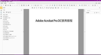 安卓系统pdf做笔记,功能解析与应用技巧